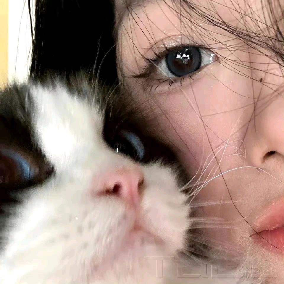 性感大蟑螂发疯抽搐头像