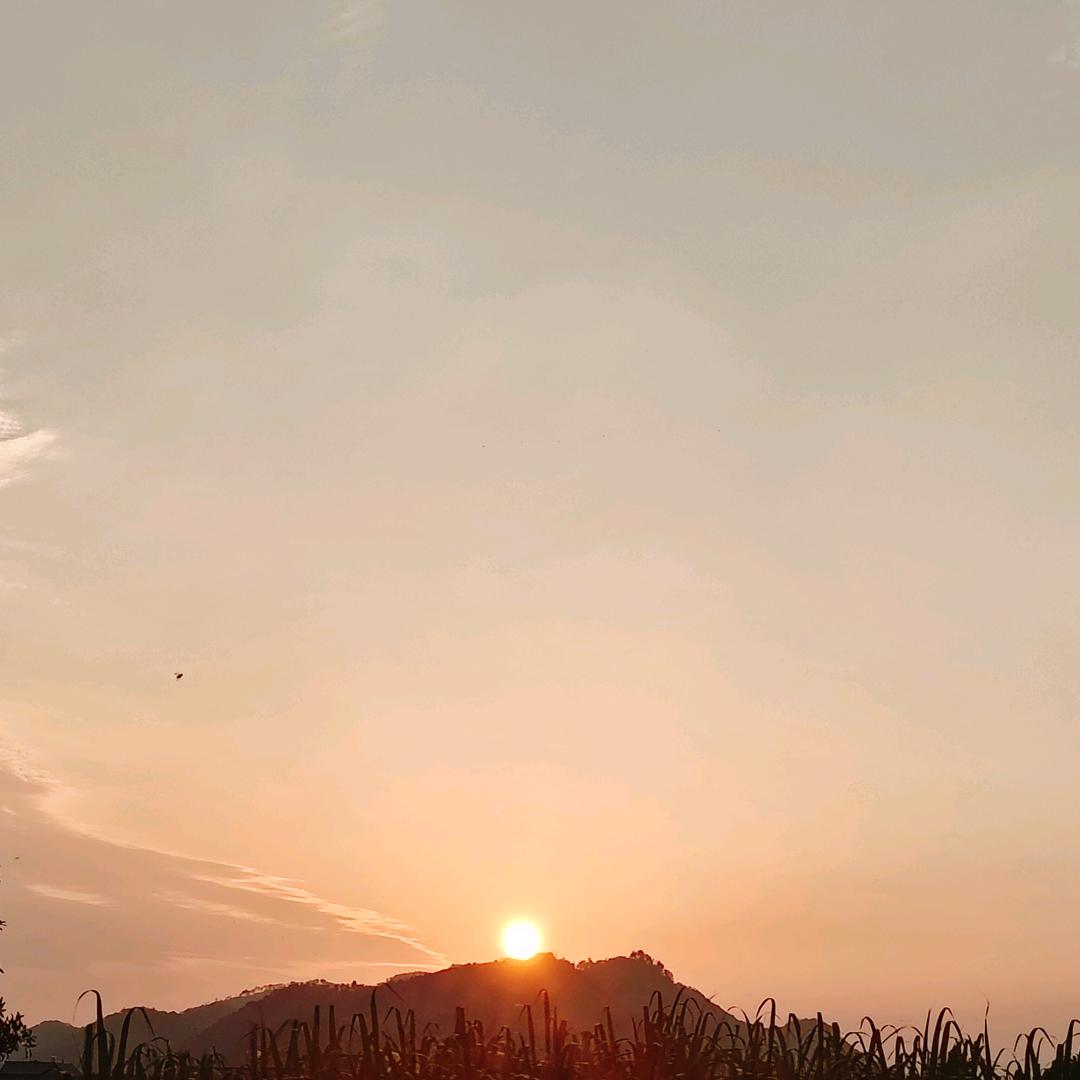 只留难过陪我๓