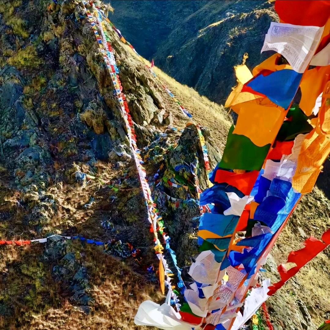 ༻དོན་࿇གྲུབ་༺