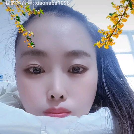 史家三小姐