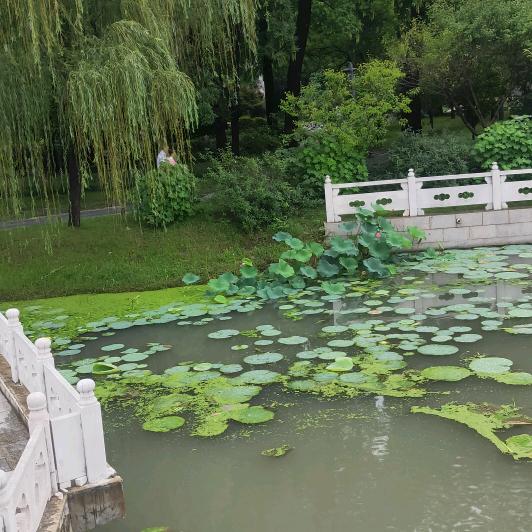 永远幸福