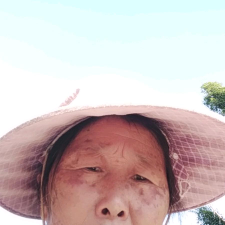 杨翠苟‘、