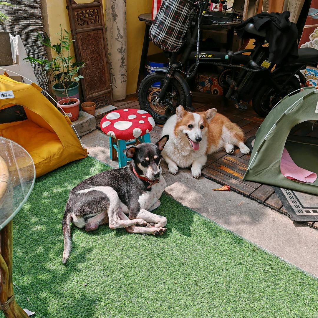 动物园之家