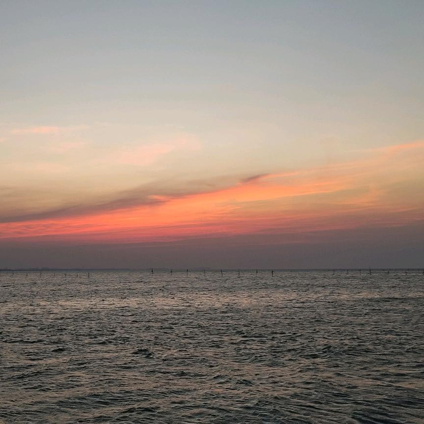 红鲤鱼绿鲤鱼与驴