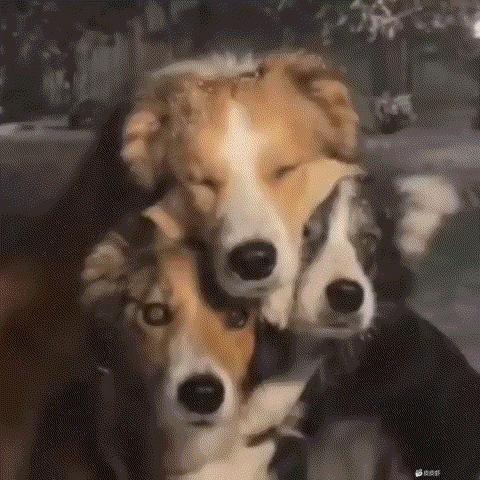 敏感肌（三角洲行动）