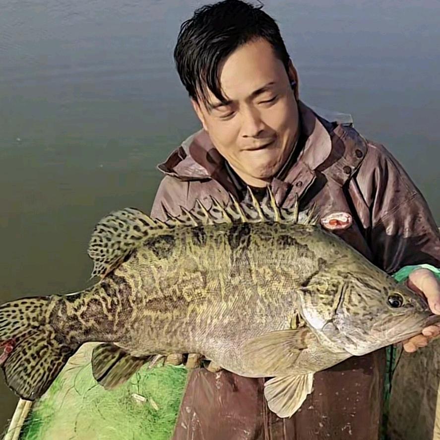 户外捕鱼小能手
