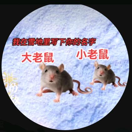 选择人生🐀🌷