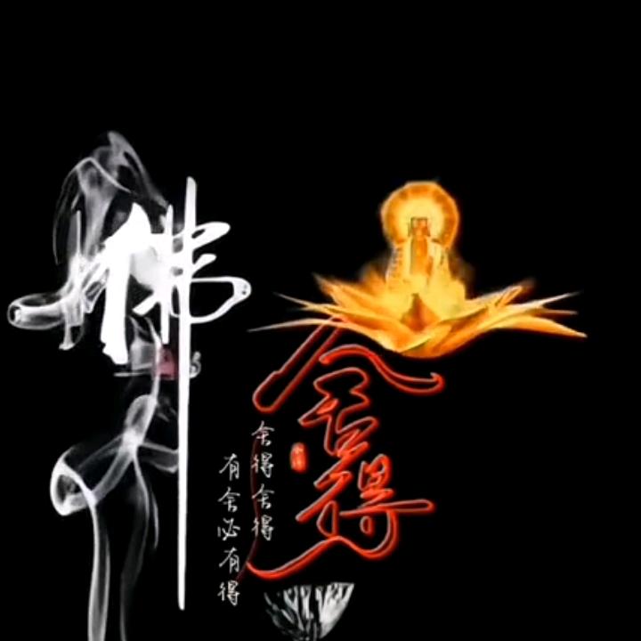 孤鸿