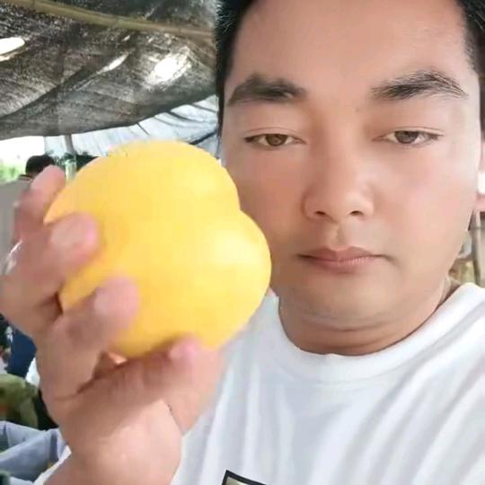 枣阳黄桃哥水果代办