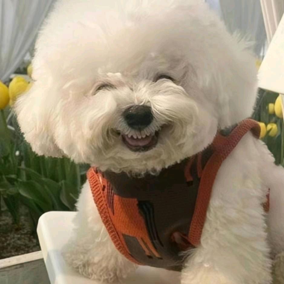 挺ok个小伙