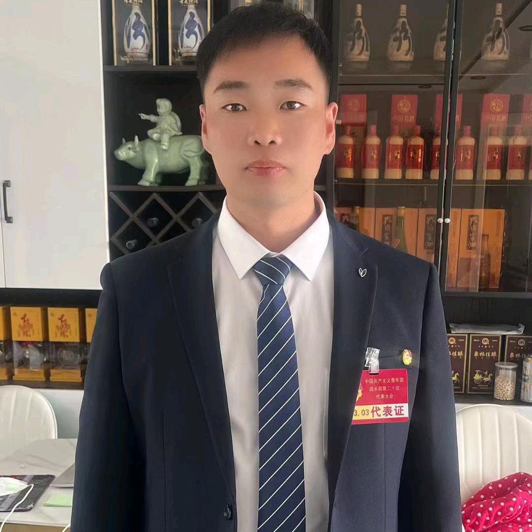 南彭村李书记