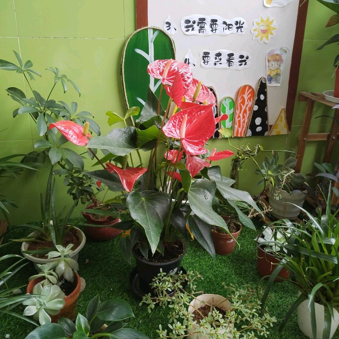 惜缘