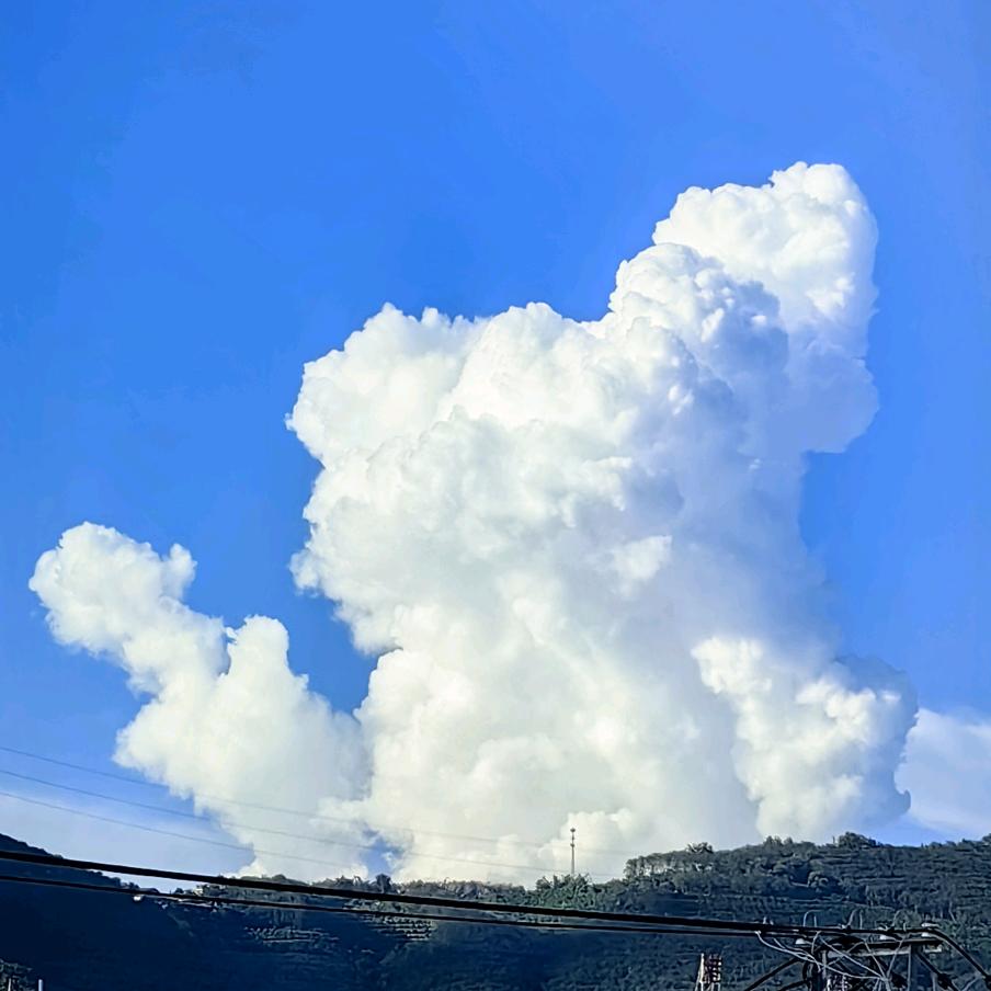 哈库纳玛塔塔🥳