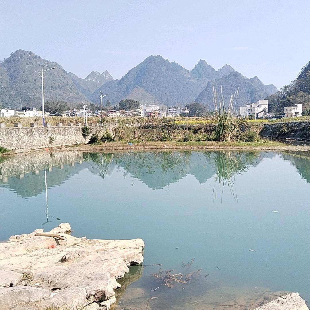 小树林
