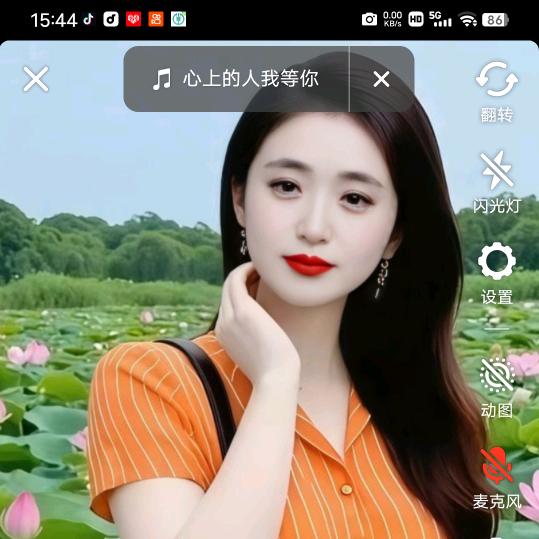 梦中的蝴蝶