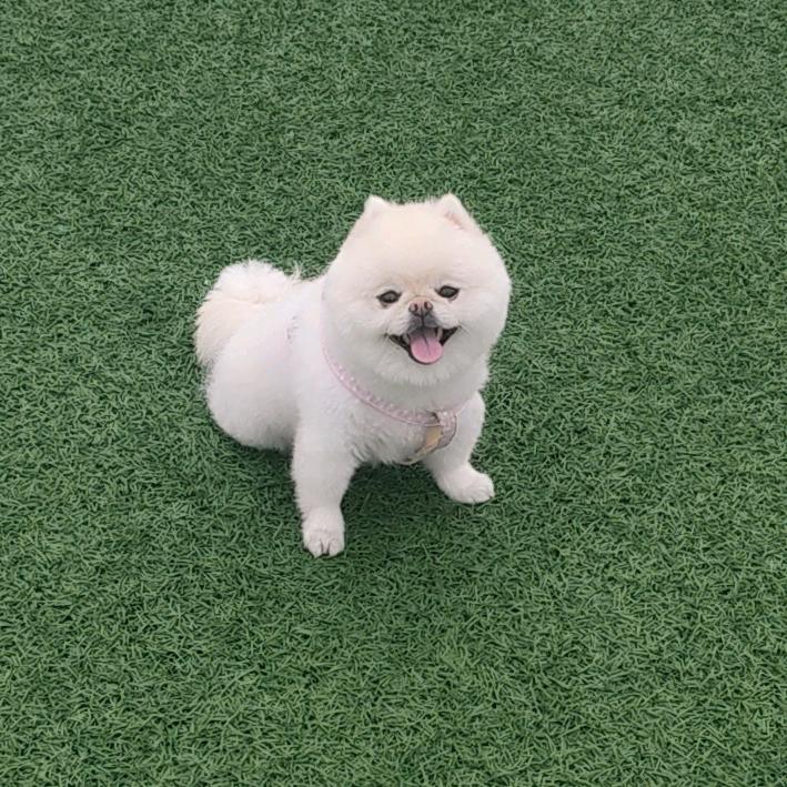 丁姐姐