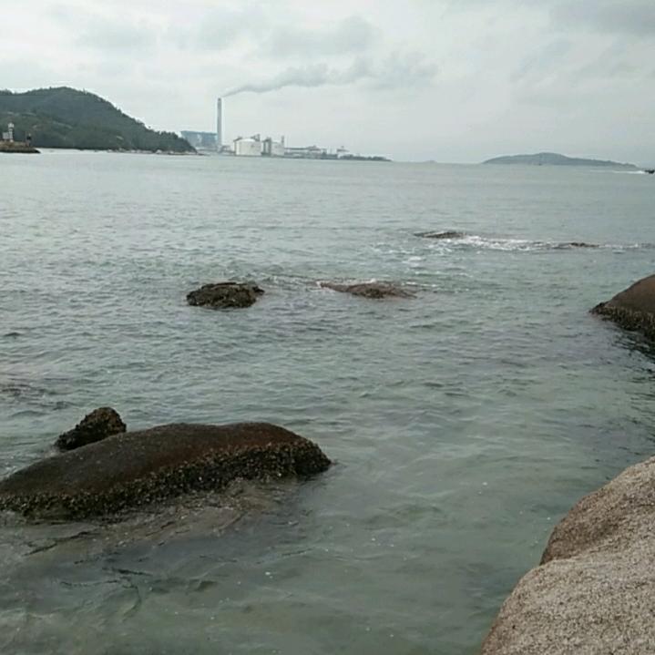 刘刘