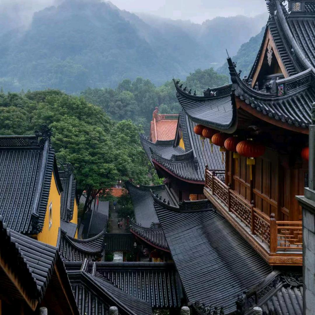 清枫