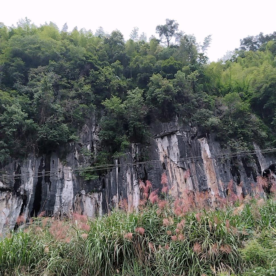 山美水美风景美