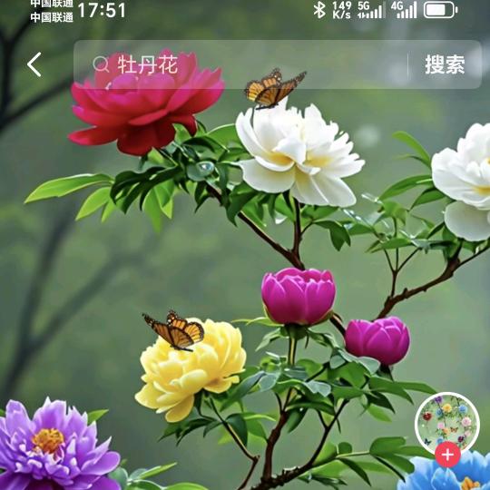 丁香花开