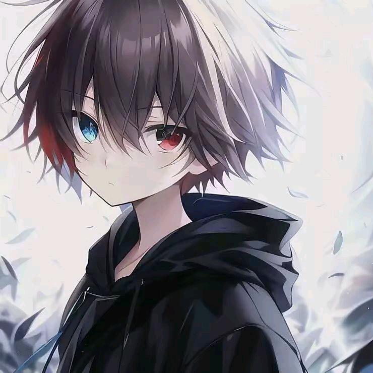 秋宇