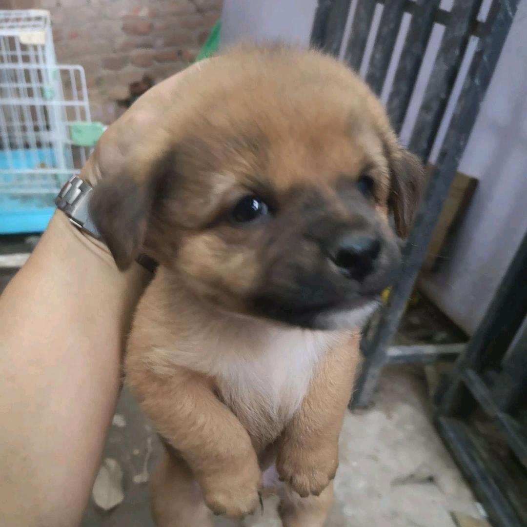 这爷们儿不是好人呐