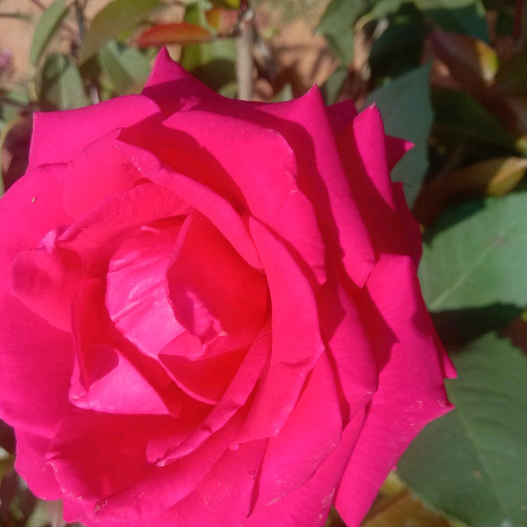 不负时光不负自己