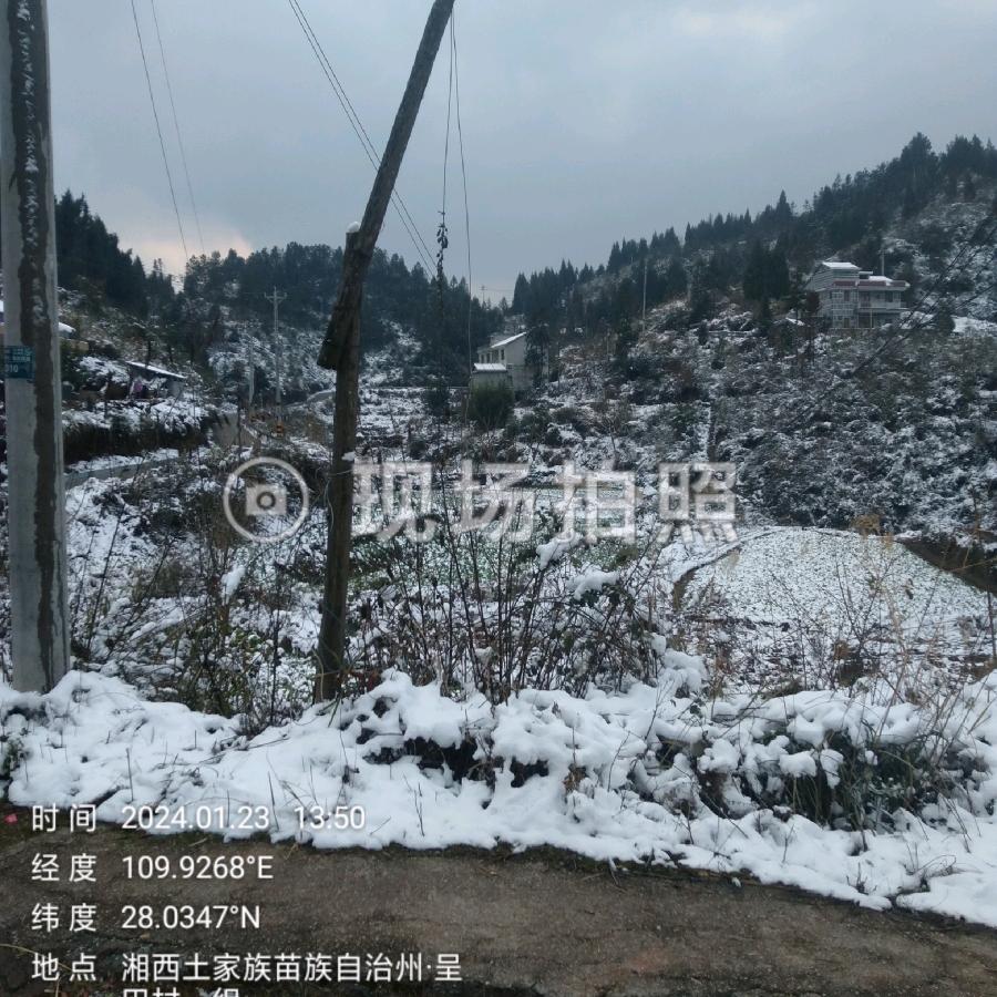 飘香如云