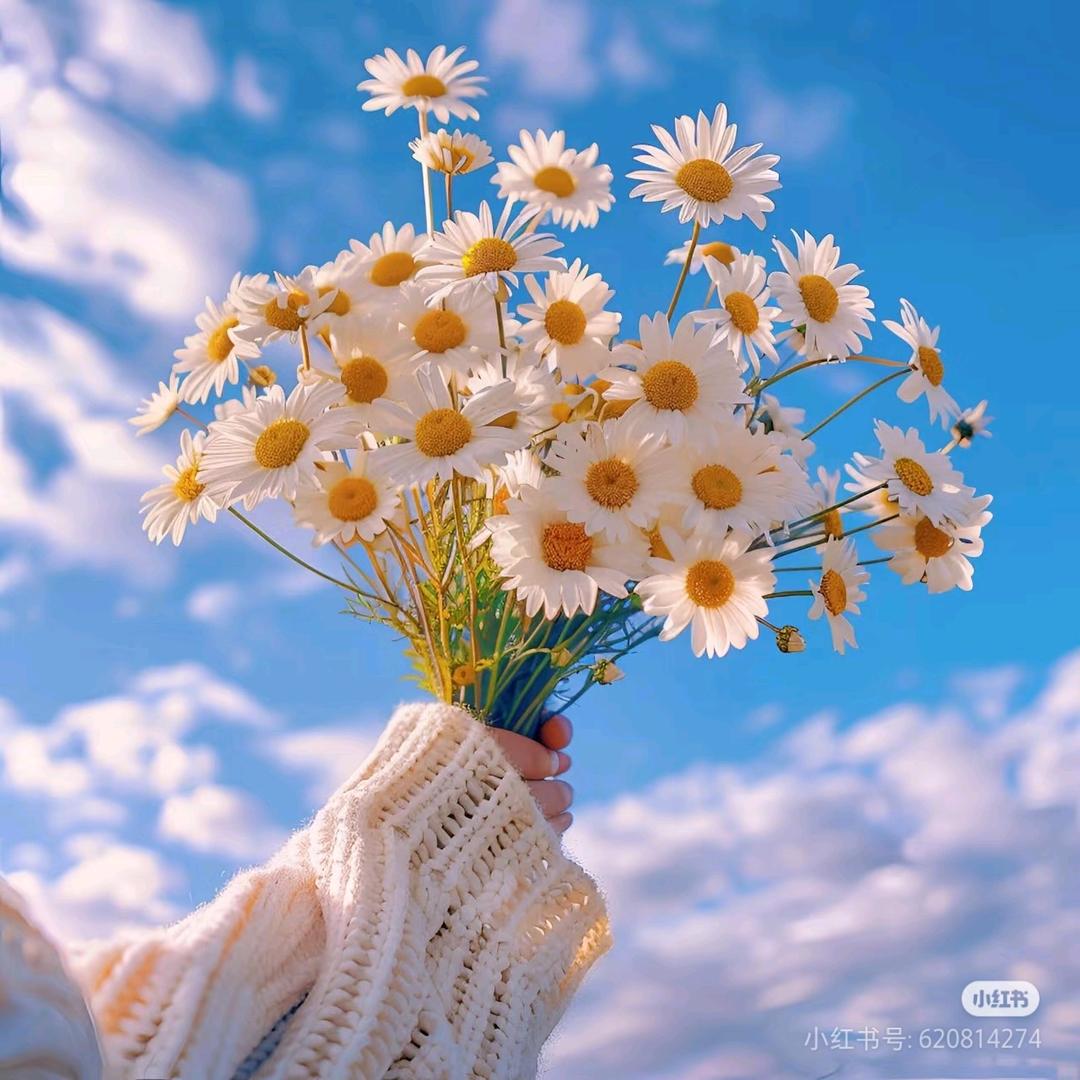 ˗ˏˋ♥︎︎ˎˊ˗𝕛ⅈꪖ𝕣ꪊⅈ𝕛ⅈ