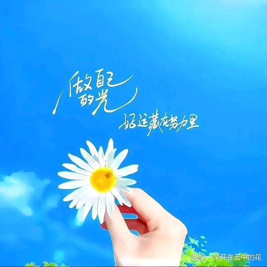 ✨独步悠然✨