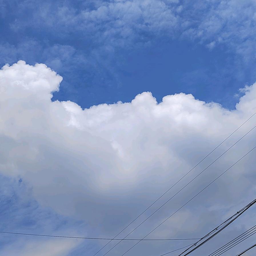 只想望着天空发呆一整天