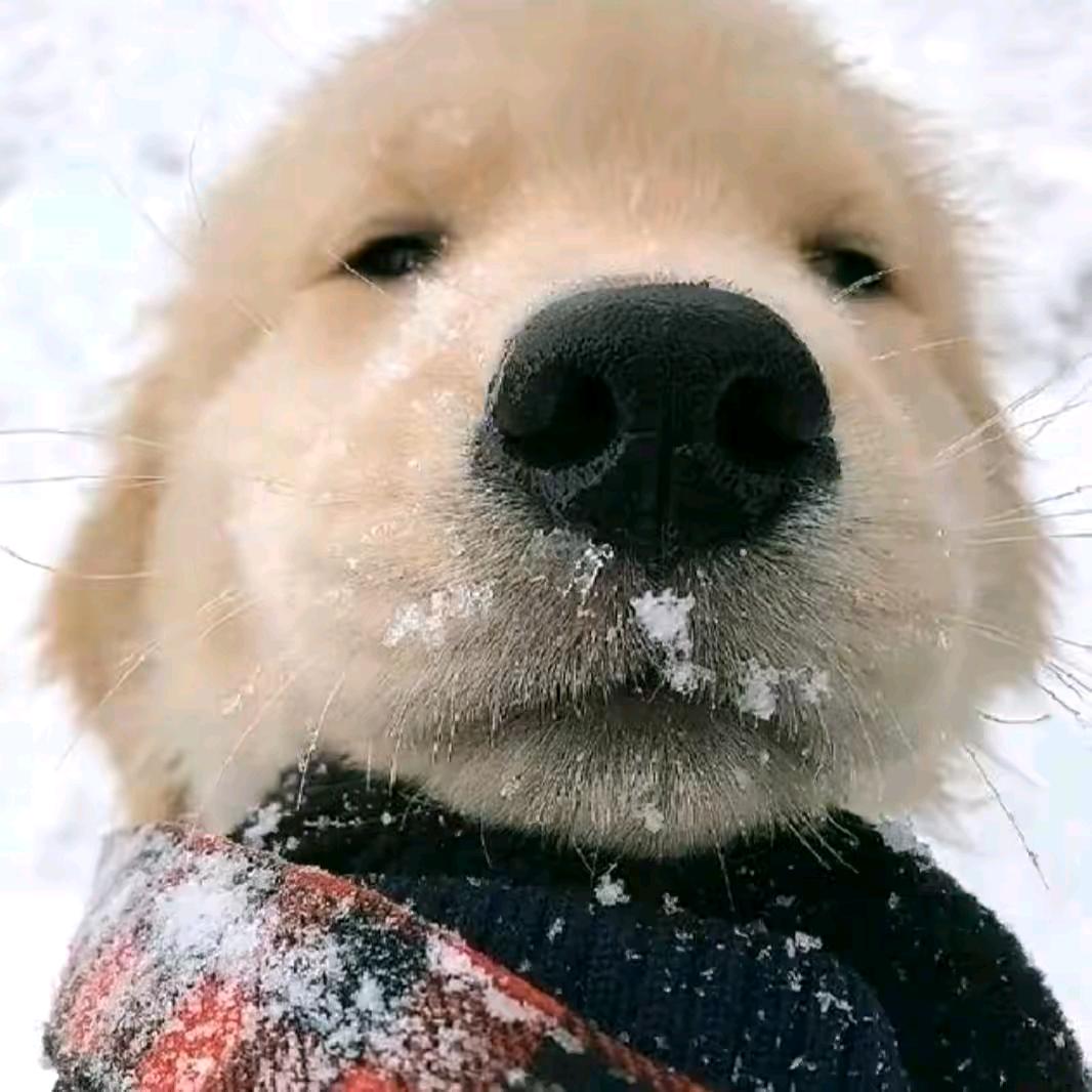 三十而立，四十而不惑