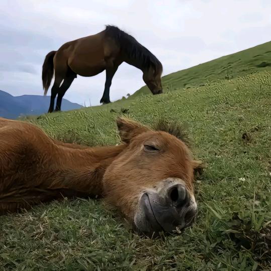 天梦💭