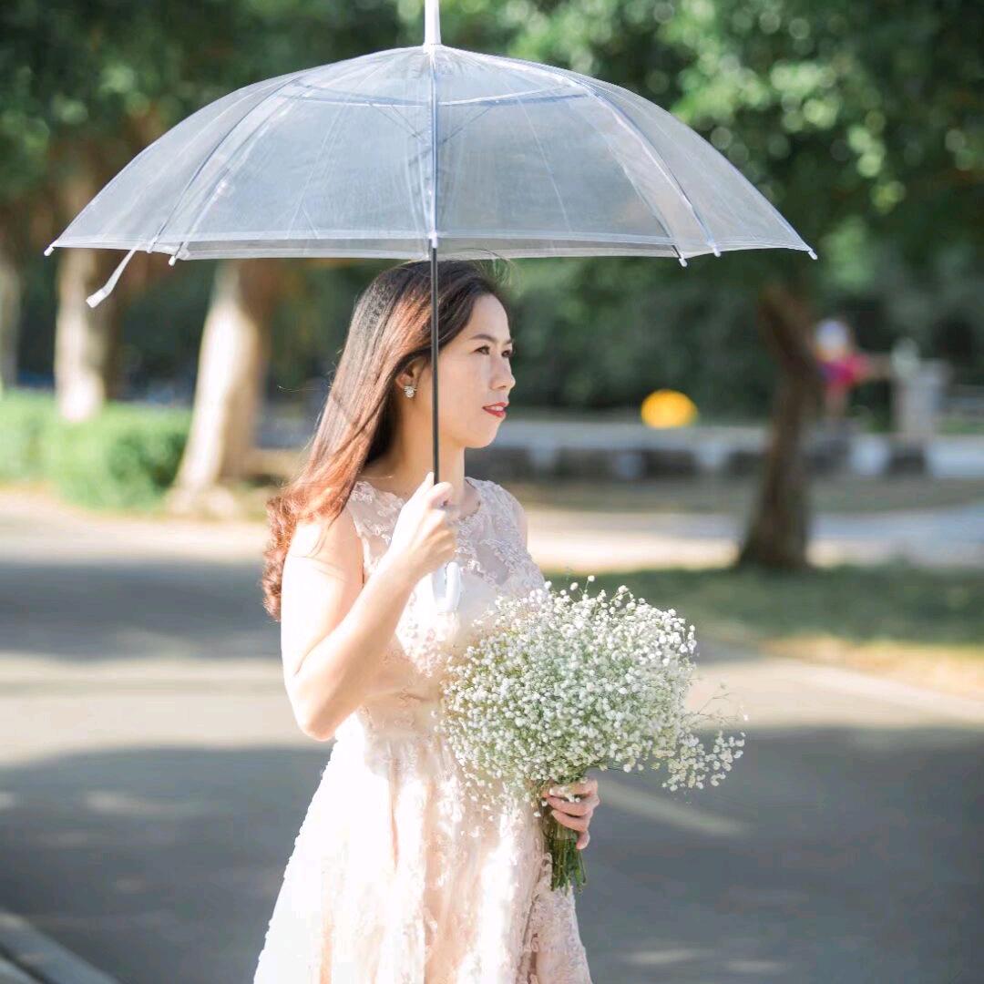 芬F