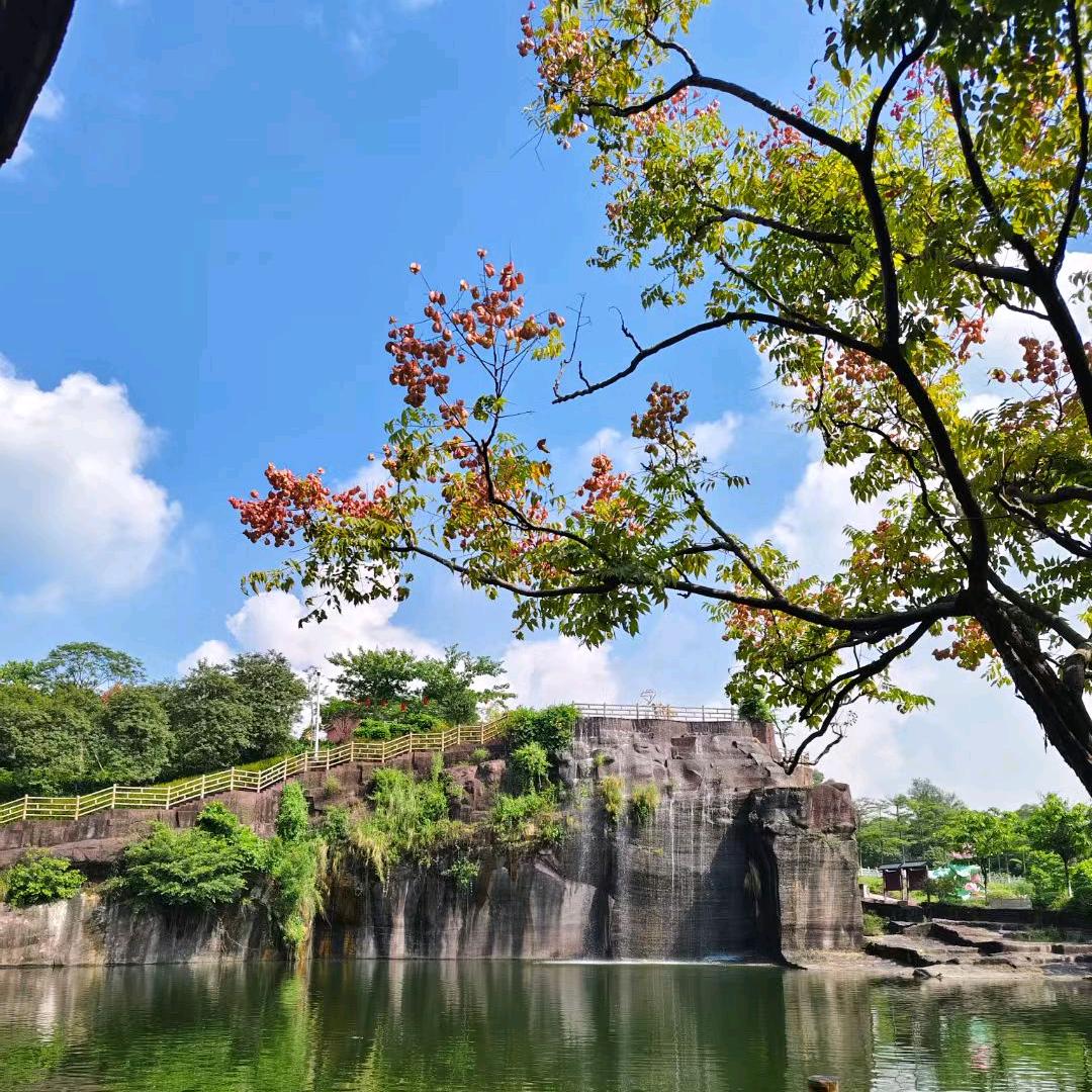 雾懂松音