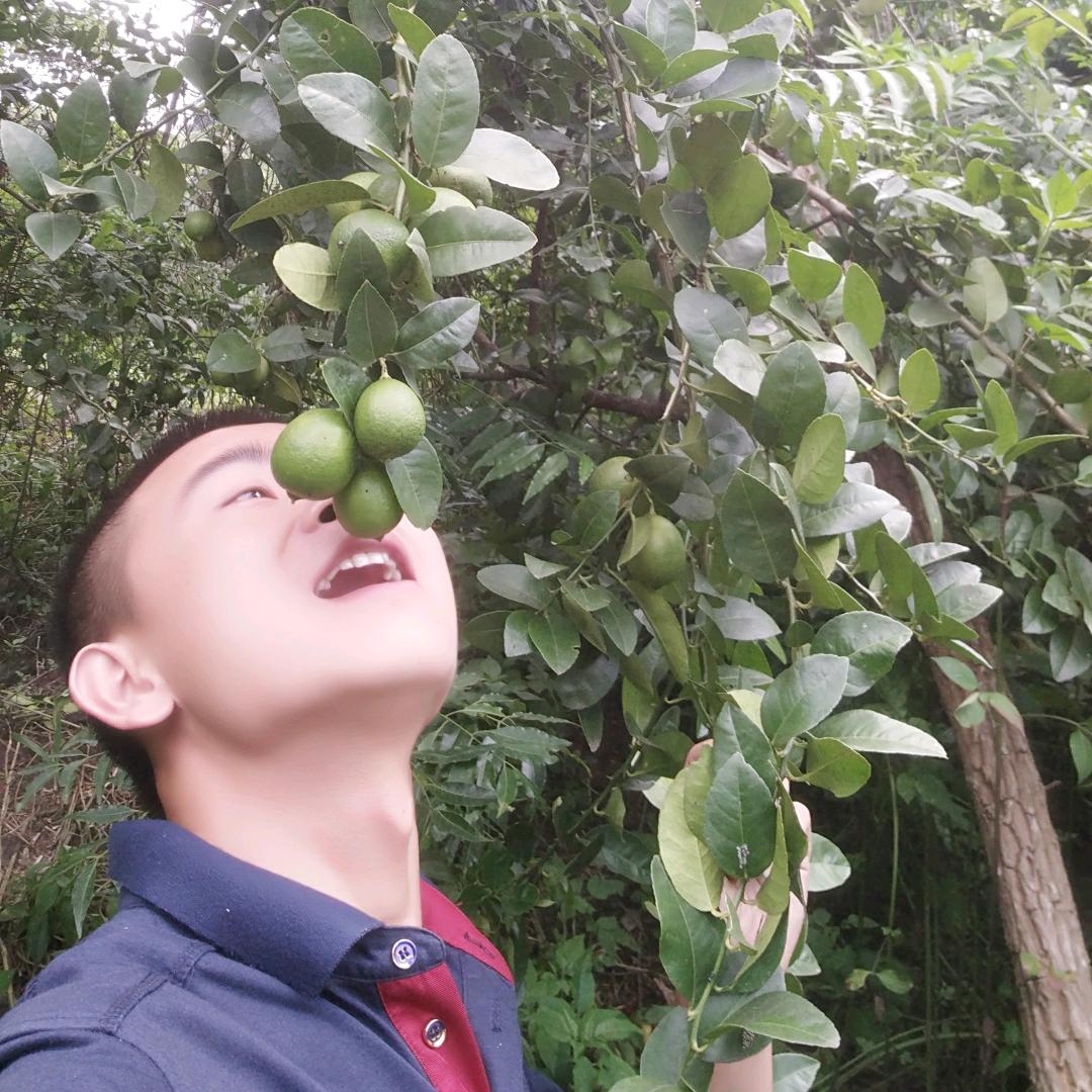 ࿆遥࿆遥࿆领࿆先࿆耀࿆耀࿆领࿆先࿆࿆࿆࿆