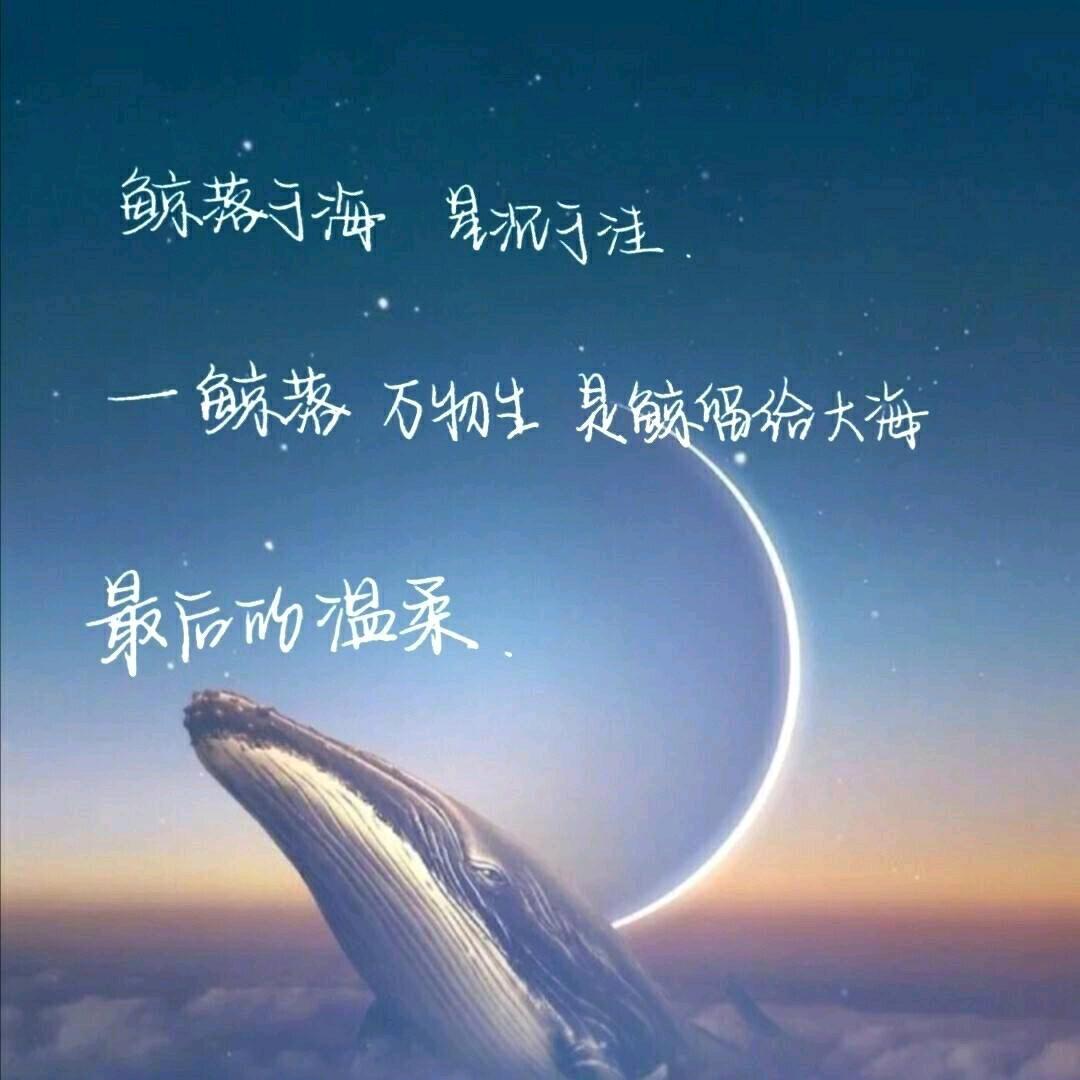 鲸 落