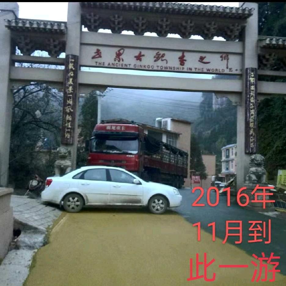 五少爷