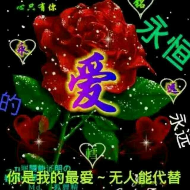 帅哥一枚（焦师傅专业安装太阳能售后服务: