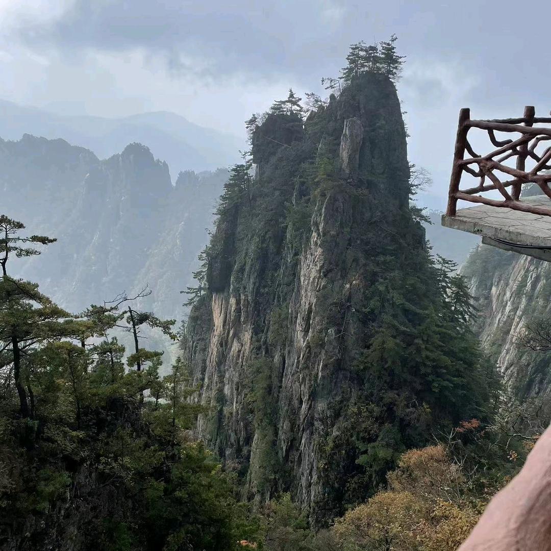 巨儿