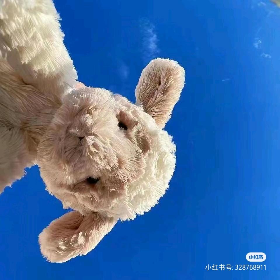 喵星了个人༊ᰔᩚ້¹¹⁰⁴