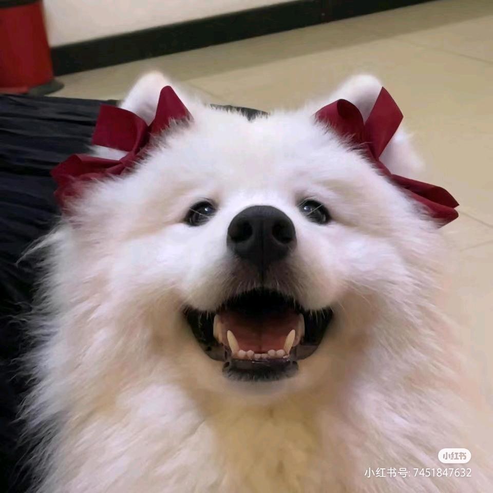 每天要喝八杯水！