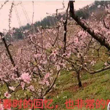 把烂牌打成王炸