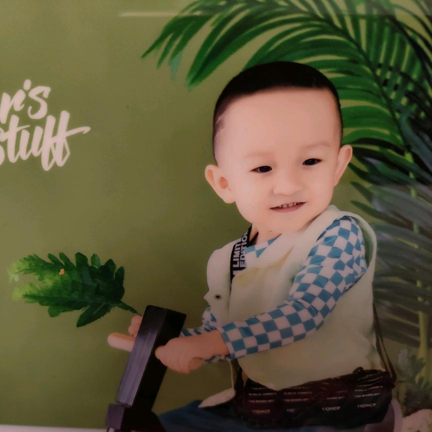 梦中的蝴蝶