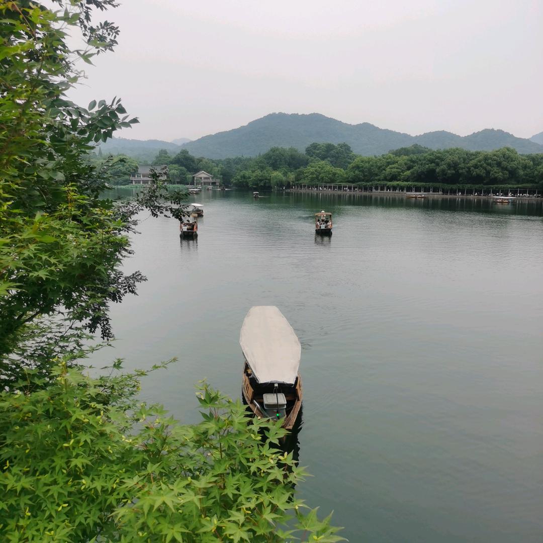 南山南