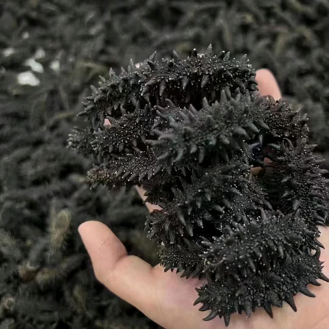 珲春市达利俄罗斯海参