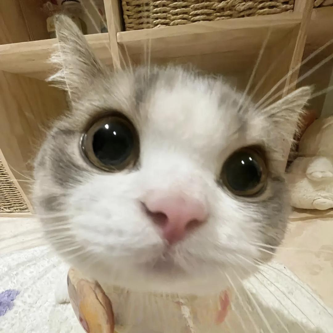 折纸鹤