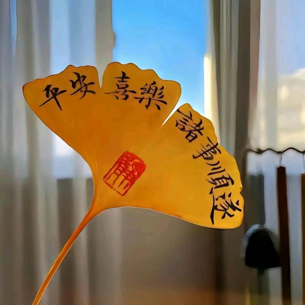 绿豆～粥🍯