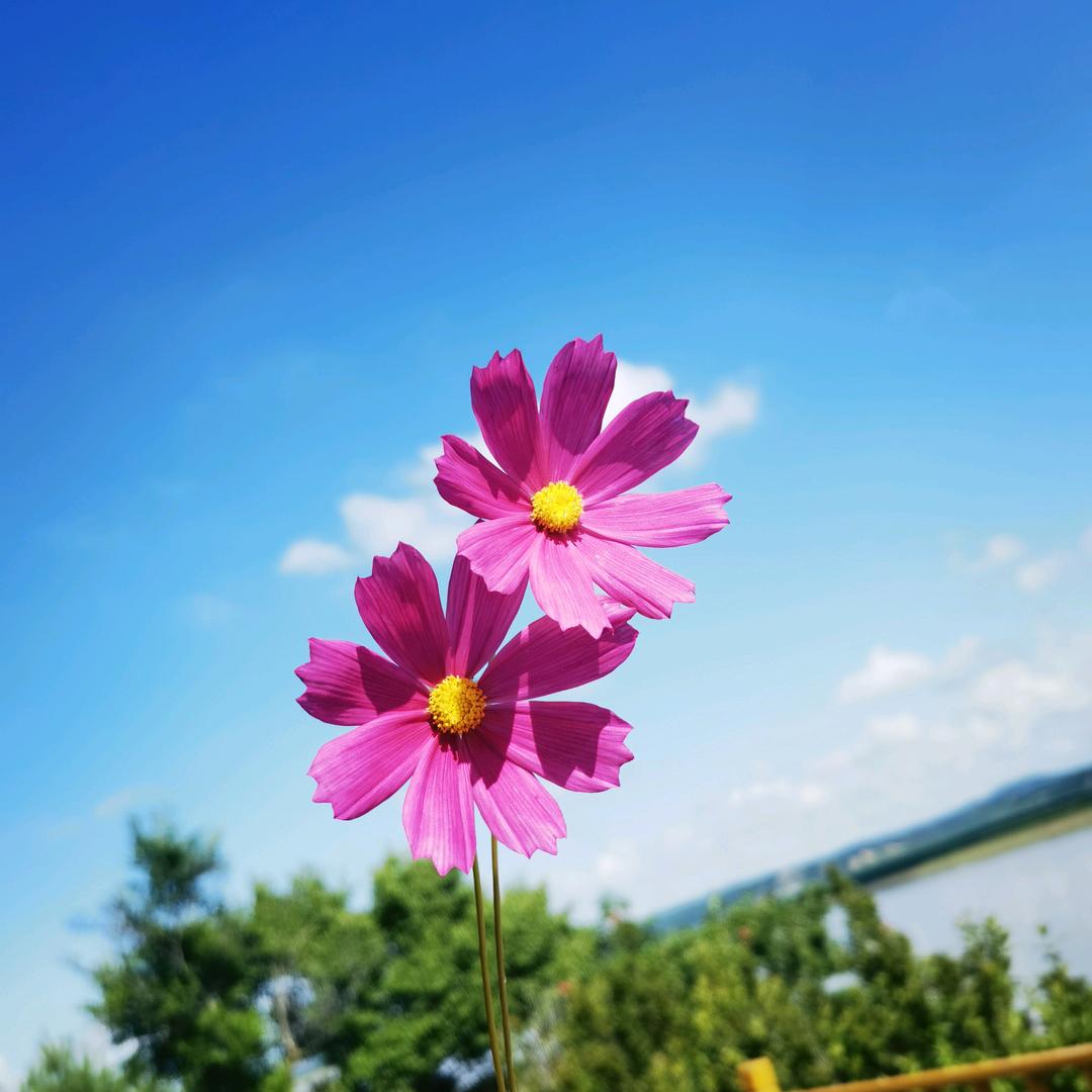 泡泡读书