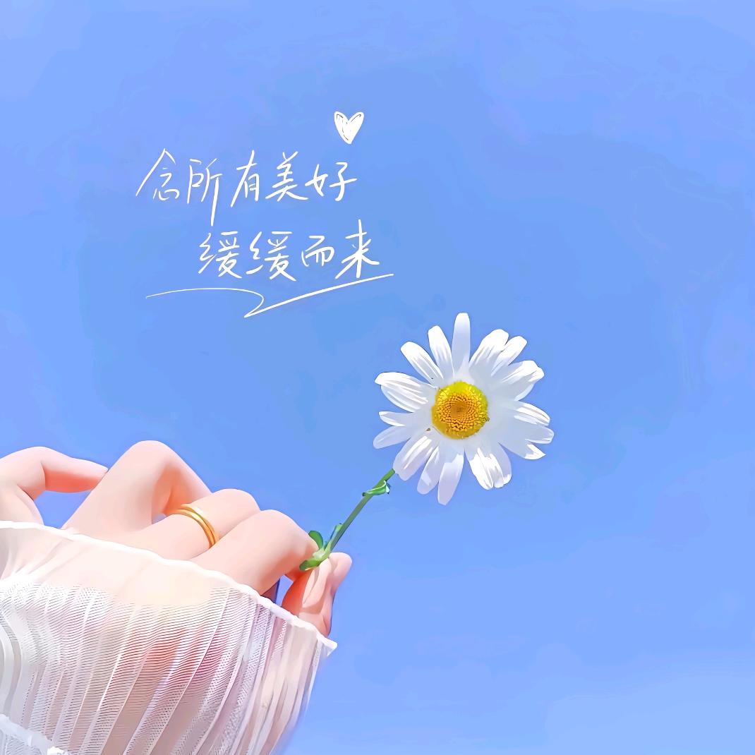 小涵优选